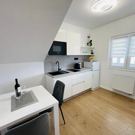 Appartement Tajnikov *