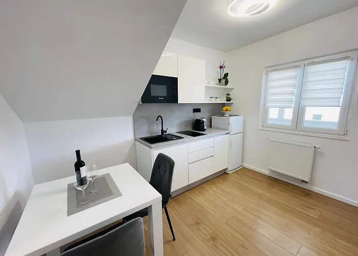 Apartman Tajnikov *